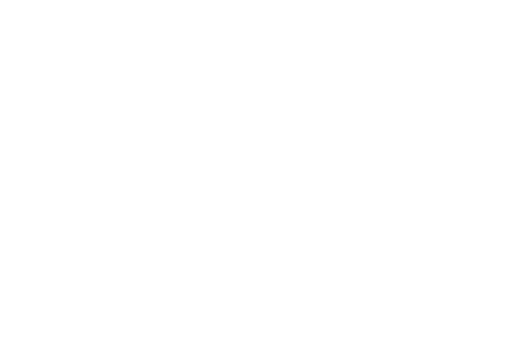 Williams Executive Search Solutions, Inc. Logo